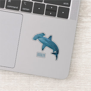 Hammerhead shark cartoon illustration