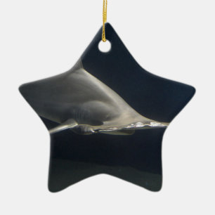 Hammerhead Shark Ceramic Tree Decoration