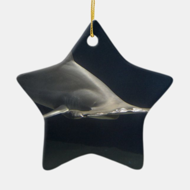 Hammerhead Shark Ceramic Tree Decoration (Front)