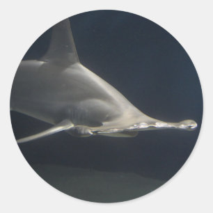 Hammerhead Shark Classic Round Sticker