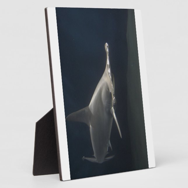Hammerhead Shark Plaque (Side)