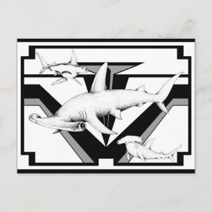 Hammerhead Shark Postcard