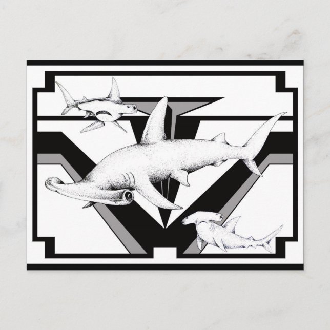 Hammerhead Shark Postcard (Front)