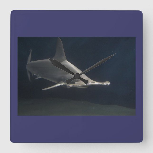 Hammerhead Shark Square Wall Clock (Front)