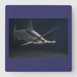 Hammerhead Shark Square Wall Clock