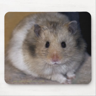 Hammie Mousemat