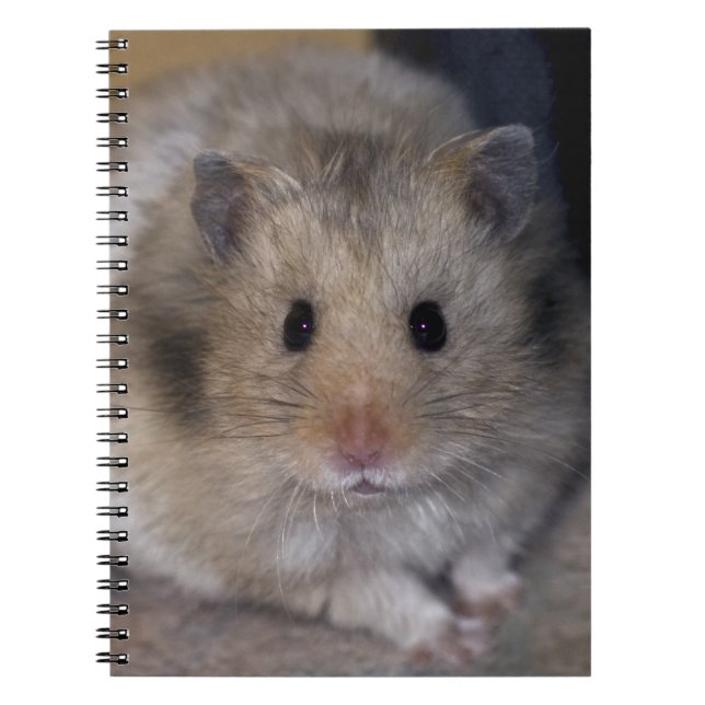 Hammie Notebook (Front)
