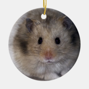 Hammie Ornament