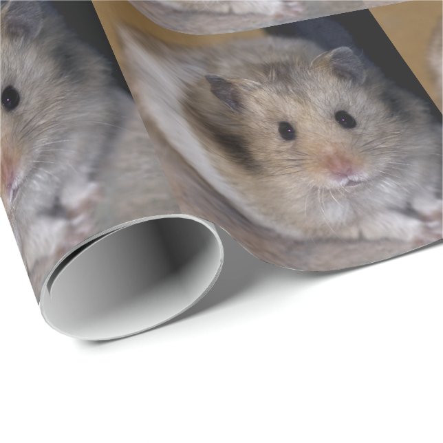 Hammie Wrapping Paper (Roll Corner)