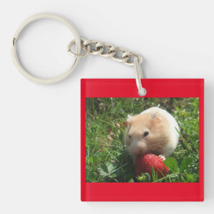 Hammies With Strawberries Key Ring