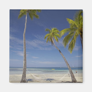 Hammock and palm trees, Plantation Island Resort Magnet