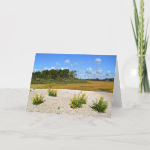 Hammonasset Beach Notecard