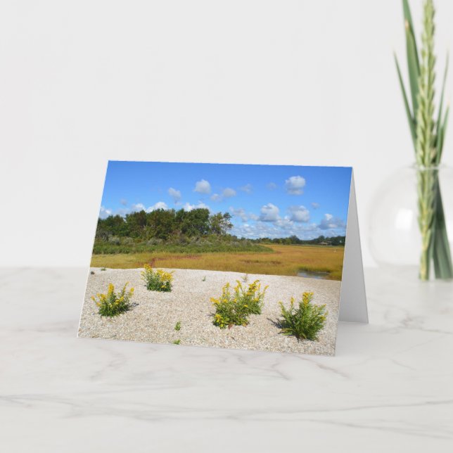 Hammonasset Beach Notecard (Front)