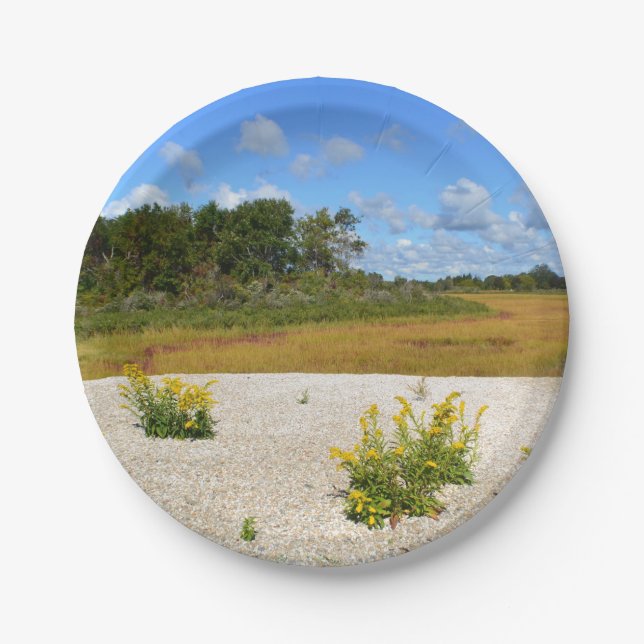 Hammonasset Beach Paper Plate (Front)
