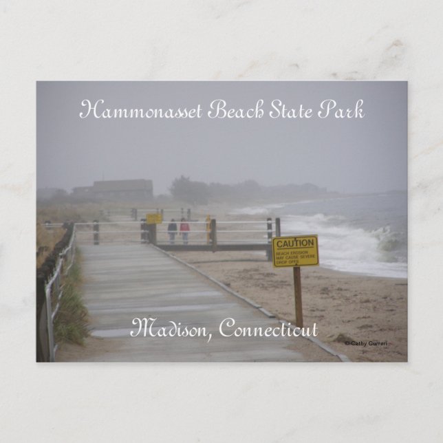 Hammonasset Beach State Park Postcard (Front)