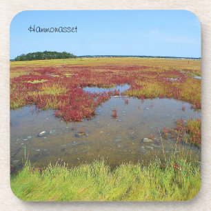 Hammonasset Coaster