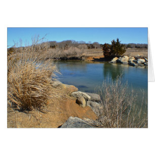 Hammonasset In March