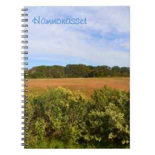 Hammonasset Marsh Notebook