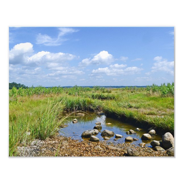 Hammonasset Marsh Photo Print (Front)