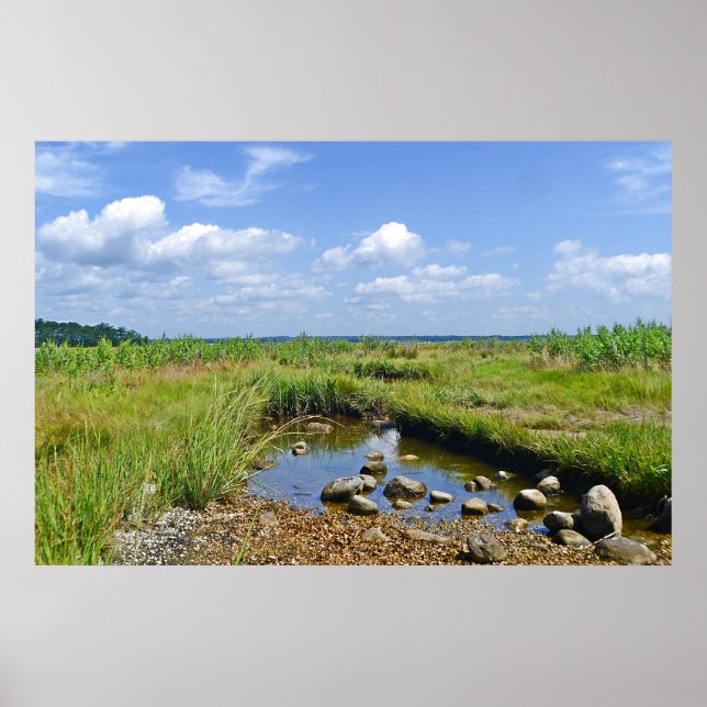 Hammonasset Marsh Poster (Front)