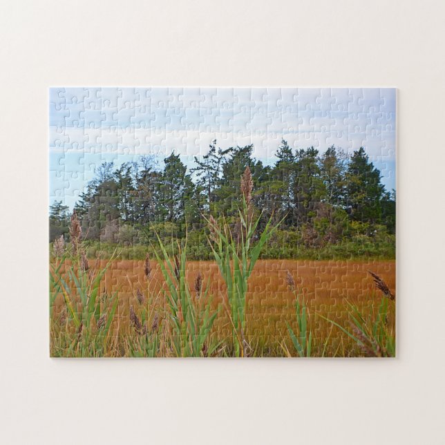 Hammonasset Marsh Puzzle (Horizontal)