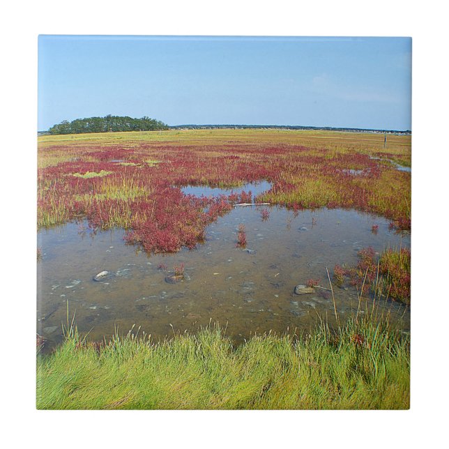 Hammonasset Marsh Tile (Front)