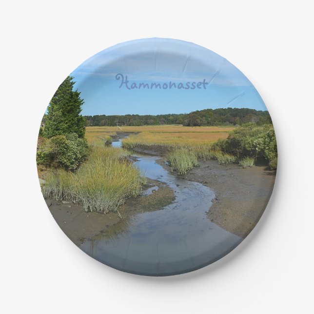 Hammonasset Paper Plate (Front)