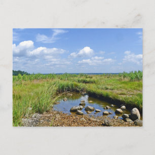 Hammonasset Postcard