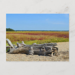 Hammonasset Postcard