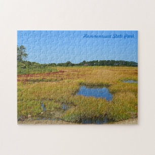 Hammonasset Seashore Puzzle