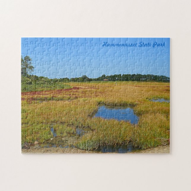 Hammonasset Seashore Puzzle (Horizontal)