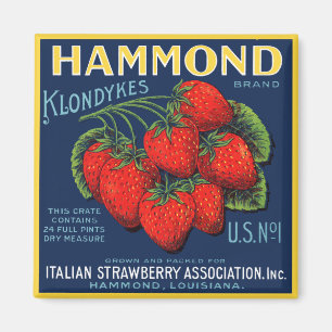 Hammond Klondykes Strawberries Magnet