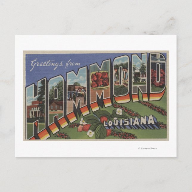Hammond, Louisiana - Large Letter Scenes Postcard (Front)