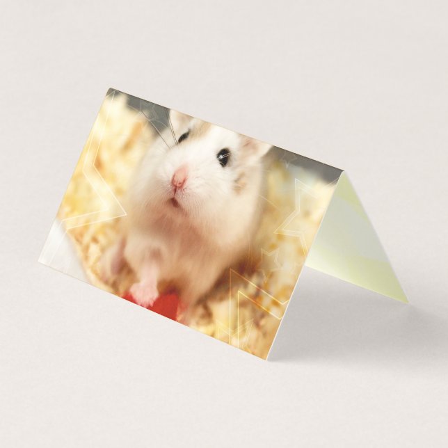 Hammyville - Cute Hamster (Front)
