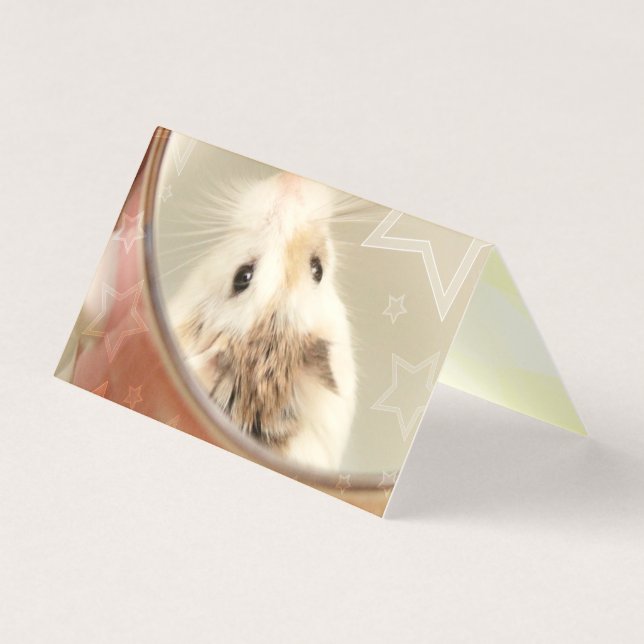 Hammyville - Cute Hamster (Front)