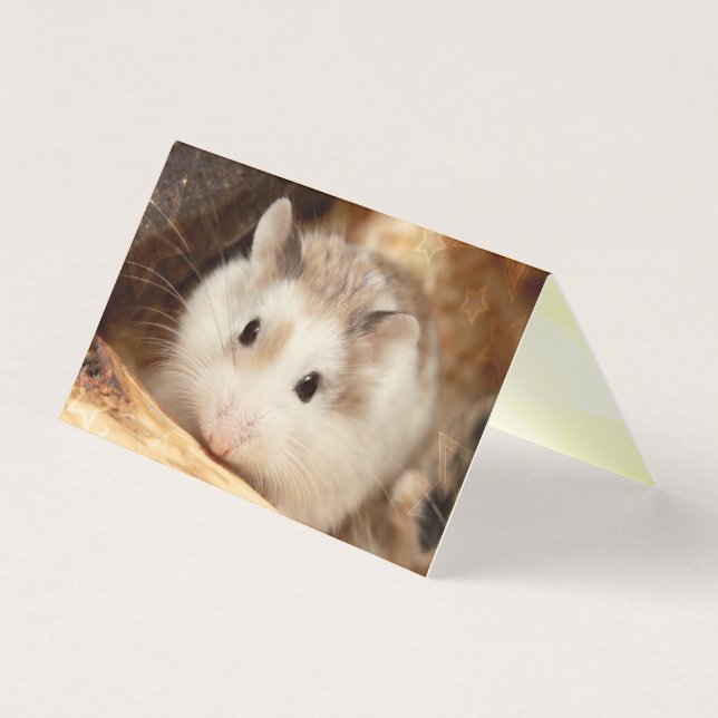 Hammyville - Cute Hamster (Front)