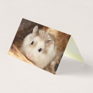 Hammyville - Cute Hamster