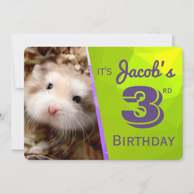 HammyVille - Cute Hamster Birthday Invitation Card (Front)