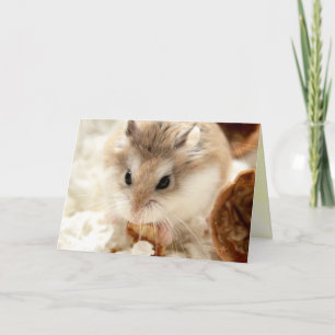 Hammyville - Cute Hamster Card