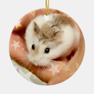 Hammyville - Cute Hamster Ceramic Tree Decoration