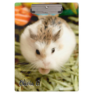 Hammyville - Cute Hamster Clipboard