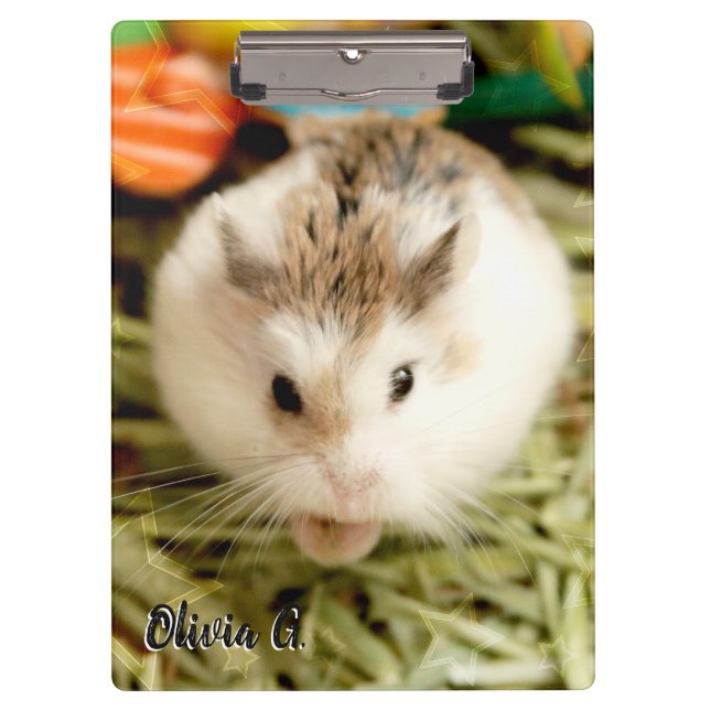 Hammyville - Cute Hamster Clipboard (Front)