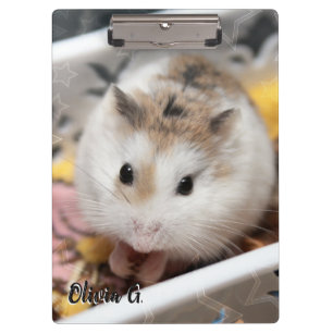 Hammyville - Cute Hamster Clipboard