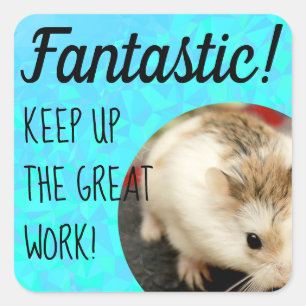 HammyVille - Cute Hamster Fantastic Great Work Square Sticker