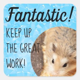 HammyVille - Cute Hamster Fantastic Great Work Square Sticker