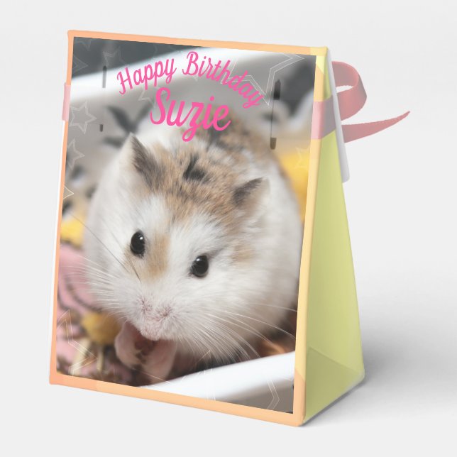 Hammyville - Cute Hamster Favour Box (Back Side)
