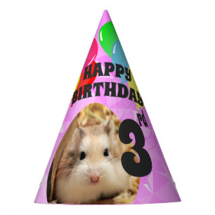 Hammyville - Cute Hamster Fuschia Gems Party Hat