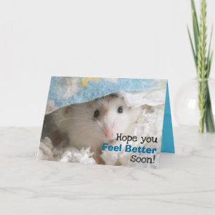 Hammyville - Cute Hamster Get Well Soon Card