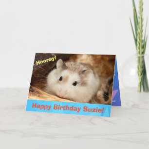 Hammyville - Cute Hamster Happy Birthday Card
