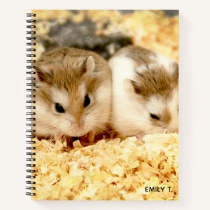 Hammyville - Cute Hamster Notebook